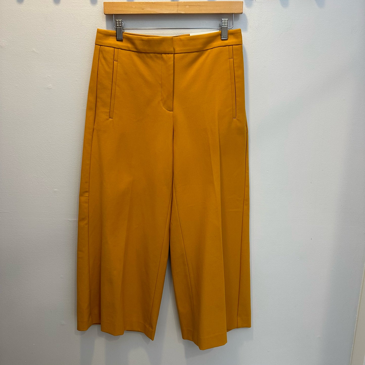 Ann Taylor Size 4 Pants