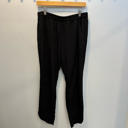 Marine Layer Size Large Pants